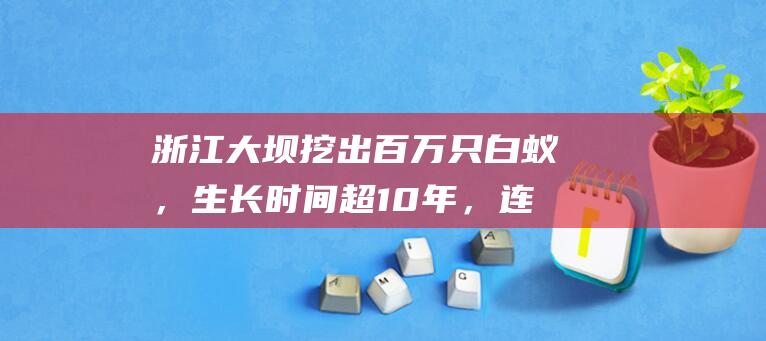 浙江大坝挖出百万只白蚁，生长时间超10年，连钢筋水泥都能啃穿？