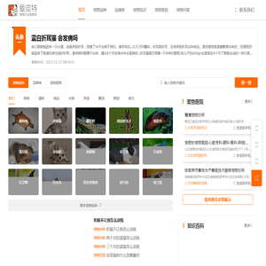 爱宠网您身边养宠指导网 - 爱宠网