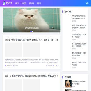 爱宠网