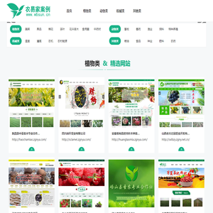 网站定制,网站制作,自适应网站,网站推广优化,云计算,虚拟主机,虚拟空间,云主机,云空间,种子溯源系统,农资溯源,陕西省渭南市农易家科技有限公司