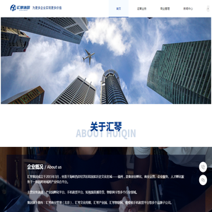 汇琴集团