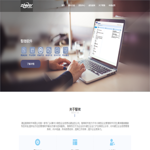 智微软件-专注工程造价咨询企业软件管理系统开发及定制