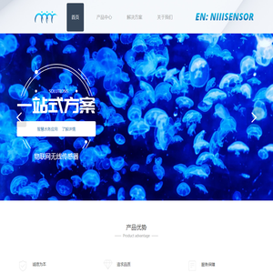 宁波工业互联网研究院传感器——niiisensor