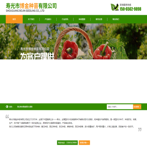寿光市博金种苗有限公司-种苗生产和蔬菜销售厂家