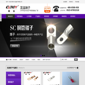 电缆线端头,电线接头,接线端子厂家,绝缘端子批发,铜接头供应商【龙溢端子】