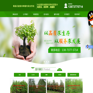 南县正波苗木种植专业合作社-南县正波苗木种植专业合作社