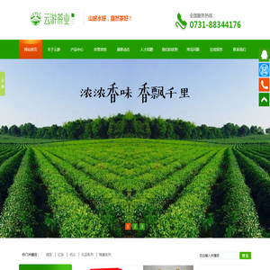 长沙云游茶业有限公司_湖南绿茶|红茶价格|长沙毛尖批发