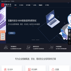 SDWAN广域网-企业MPLS国际组网专线-云互联专线-深圳市田鑫科技有限公司