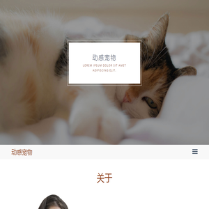 动感宠物 - 睿启科技