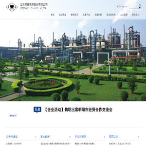 江西黑猫炭黑股份有限公司